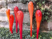 26-Chihuly-Biltmore2018