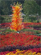 31-Chihuly-Biltmore2018