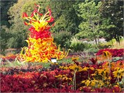 32-Chihuly-Biltmore2018