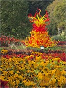 33-Chihuly-Biltmore2018