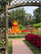 36-Chihuly-Biltmore2018