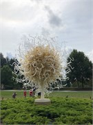 60-Chihuly-Biltmore2018