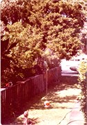 1970sPixScans0026