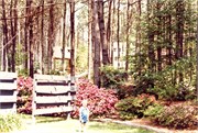 1980sPrintScan091620180026
