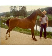 1980sPrintScan091620180088