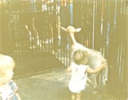 1981PrintScans_0052