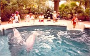1983_PrintScan09162018-0039