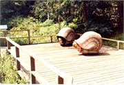 1983_PrintScan09162018-0054