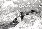 1984_PrintScan092018-0033