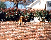 1985_PrintScan092018-0016