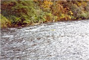 1986-1989Print0920180002