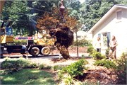 1990sPrints092018-0116