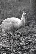 1999-LoriPhotos-0004