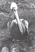1999-LoriPhotos-0023