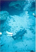 DivingPrints092018-0009