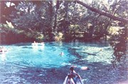DivingPrints092018-0015