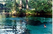 DivingPrints092018-0032