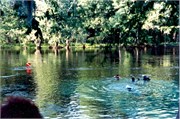 DivingPrints092018-0033