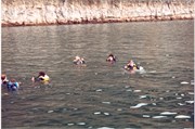 DivingPrints092018-0042