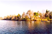 DivingScans091220180008