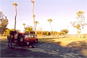 DivingScans091220180010