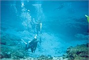 DivingScans091220180013