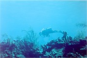 DivingScans091220180014