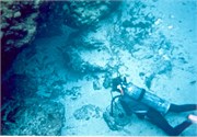 DivingScans091220180015