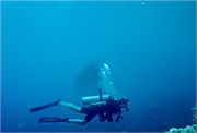 DivingScans091220180018