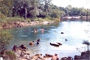 DivingScans091220180020