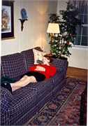 OfficeScrapBooks-0297