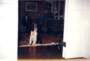 OfficeScrapBooks-0335