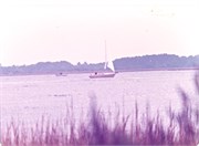 SailBoatPrints092018-0005