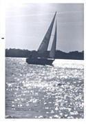 SailBoatPrints092018-0007