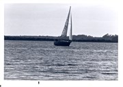 SailBoatPrints092018-0021