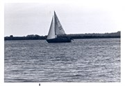 SailBoatPrints092018-0022
