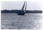 SailBoatPrints092018-0023