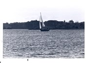 SailBoatPrints092018-0025