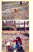 ScrapBook20028