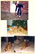ScrapBook20030