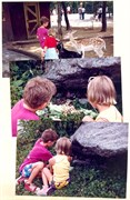ScrapBook20085