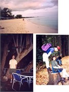 ScrapBook20106