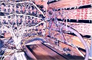 OurLionel-0037