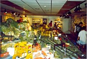 LayoutsOfOthers-0011