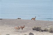18-Patagonia2018
