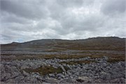 75_Bluff-Cove17