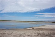 30-HughsPenguinPix
