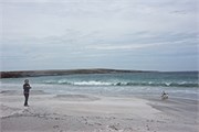 39-HughsPenguinPix