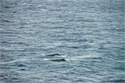 10_HopeBay