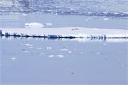 36_WilhelminaBay